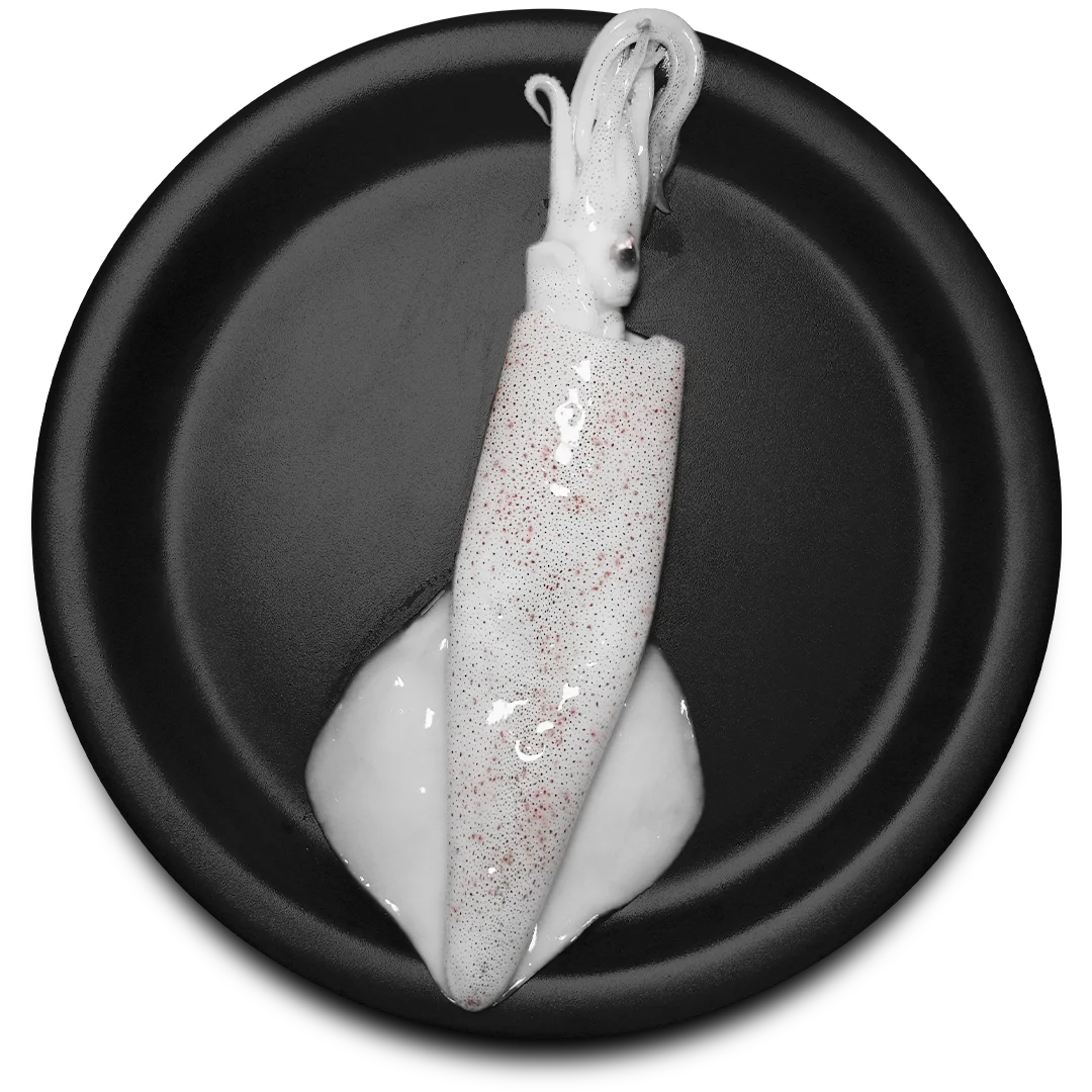 Whole Squid