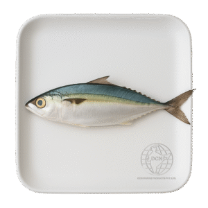 Indian Mackerel