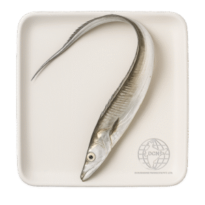 Ribbon Fish
