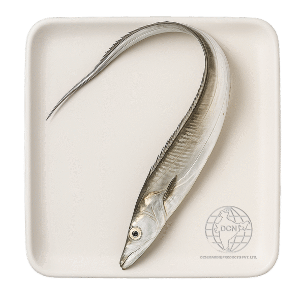 Ribbon Fish