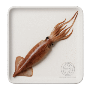 Squid