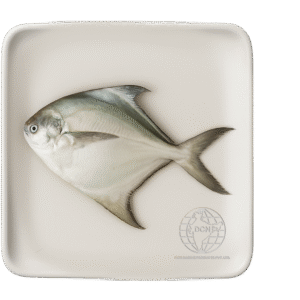 Pomfret (Silver & Black)