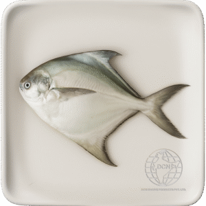 Pomfret (Silver & Black)